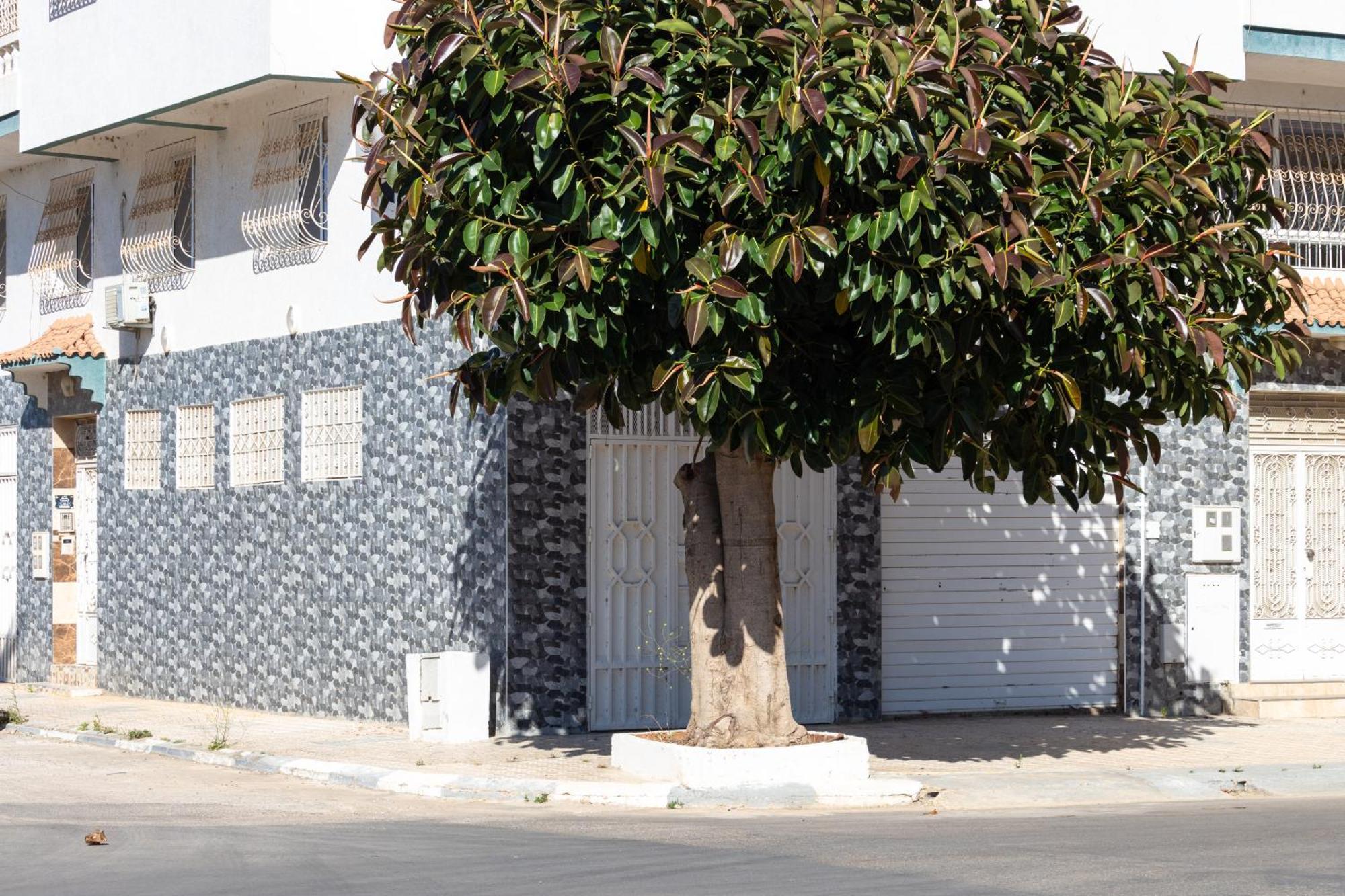 Appartements Calmes Et Spacieux Tétouan 外观 照片